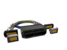 ECU Master - EMU Black Harness Adaptor (interconnector) for VW Golf Mk4 R32